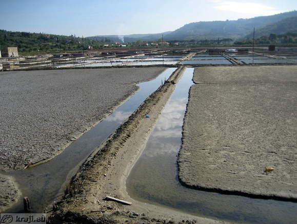 Krajinski park Strunjan - Strunjanske soline
