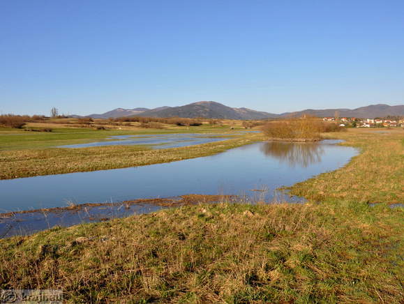 Klenik with the neighbourhood