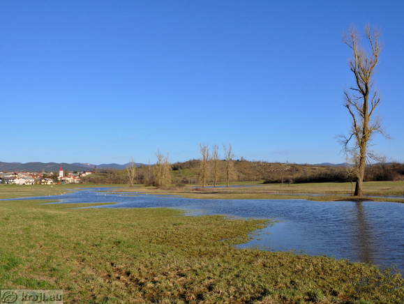 Pivka River