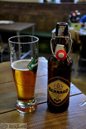 Pivo Bernard