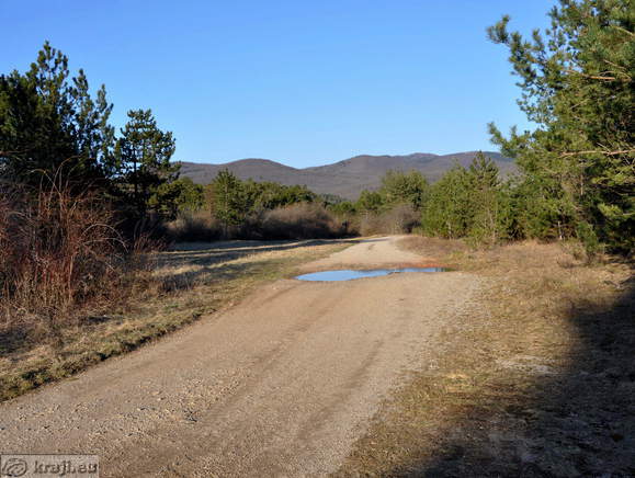 Palcje See (Palsko jezero)