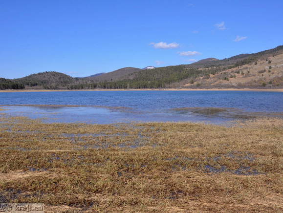 Petelinjsko jezero