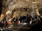 Höhle von Postojna - Postojnska jama
