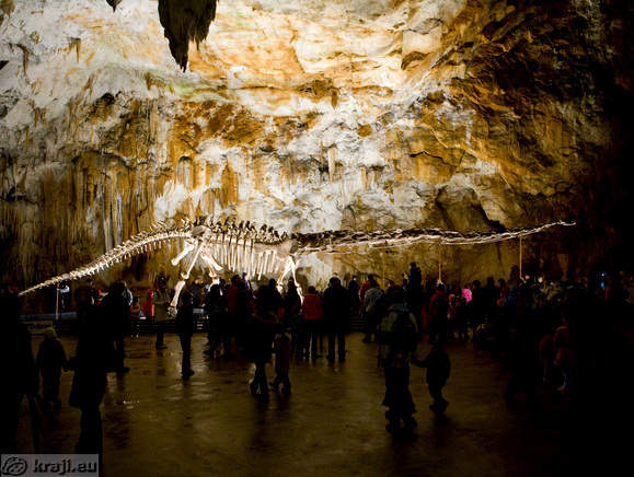 Höhle von Postojna - Ereignises, Veranstaltung, Konzerte