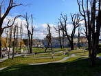 Mestni park - Mestni park 