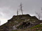 Grad Adelsberg (Hrib Sovič) - Hrib Sovič 