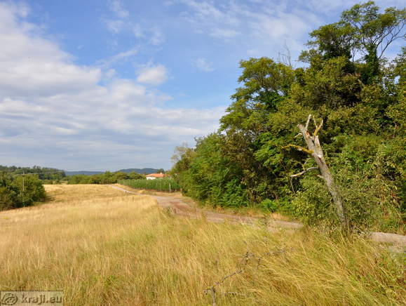 Planjave okrog kraške vasi Križ
