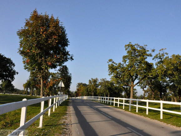 Vožnja po posestvu Lipice