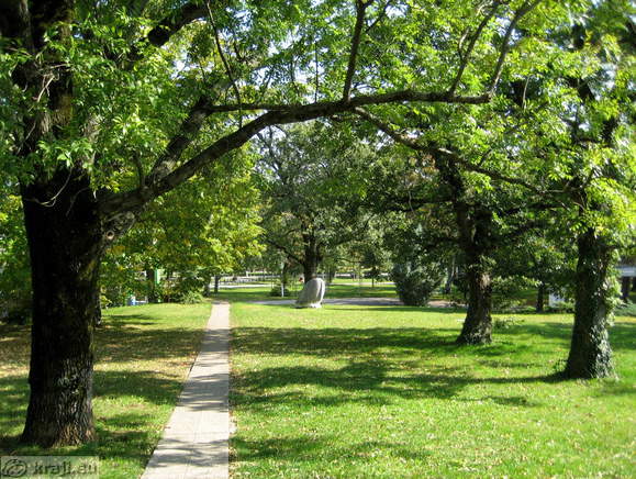 Zelene površine med stavbami v Lipici