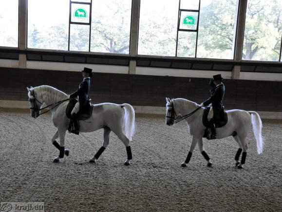 Presentation of the classical riding school
