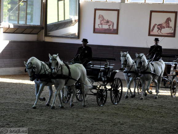 Presentation with carriages