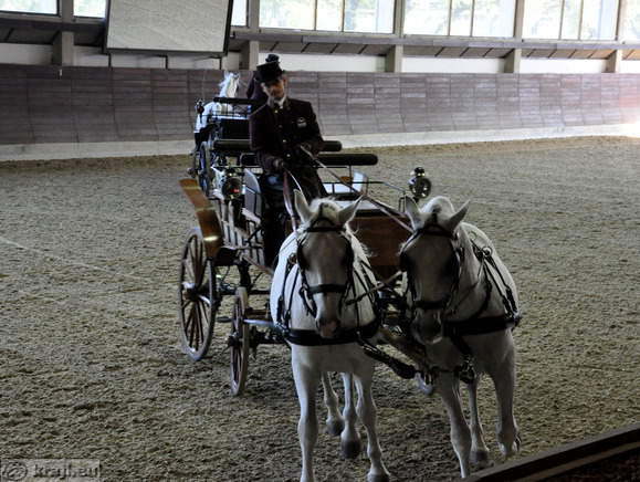 Presentation of the riding school with carriages