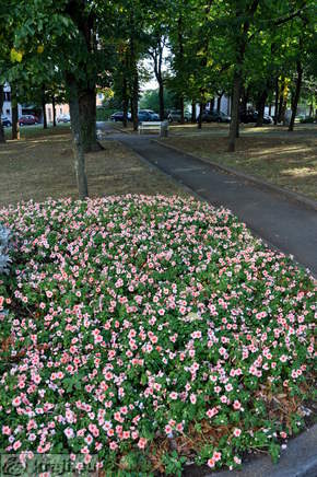 Sezana - Park am Gericht