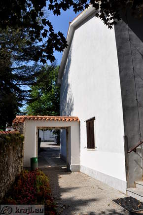 Natural History Museum and gallery, multimedia room