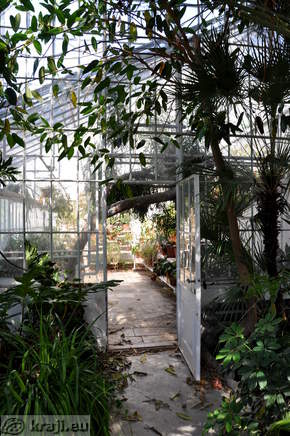 Passage in the Palmarium