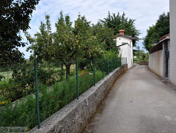 Road by the Kosovel Home