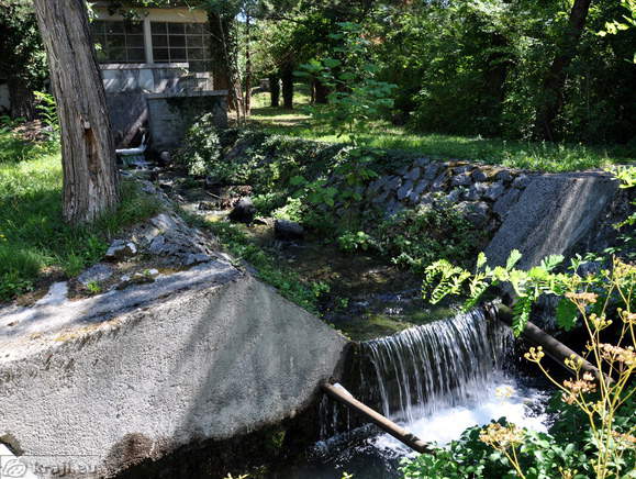 Vračanje biološkega minimuma