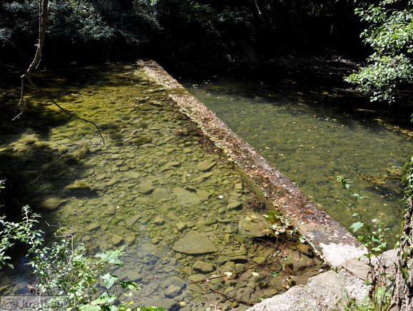 Pogled na reko Rižano