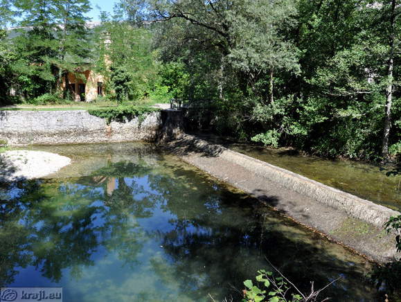 Reka Rižana v bližini izvira