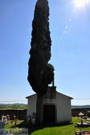 Chapel of St. Stephen with cypress