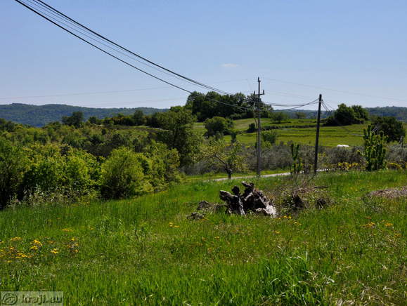 Neighbourhood of the cemetery in Krkavce