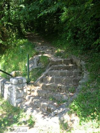Start of the path through the forest