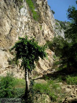 Lower part of Osp rock wall on the right ssiide of the cave