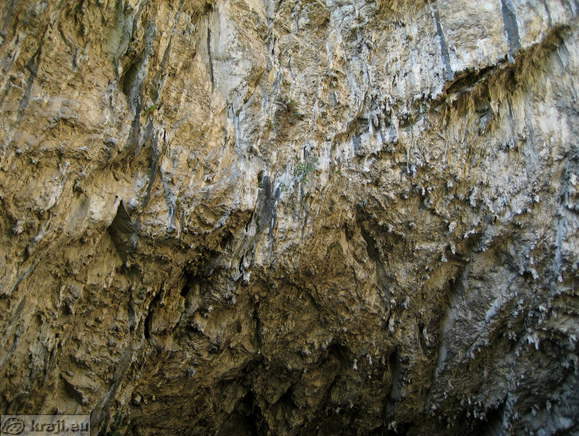 Stalactites on the top of Osp Cave