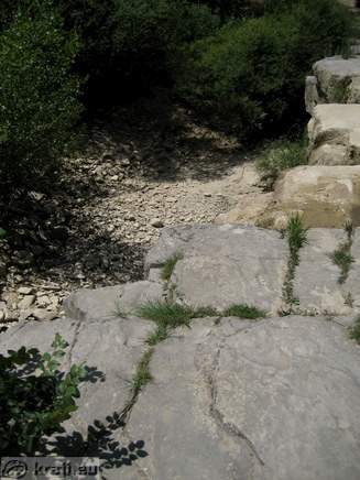 Dried brook Pinjevec