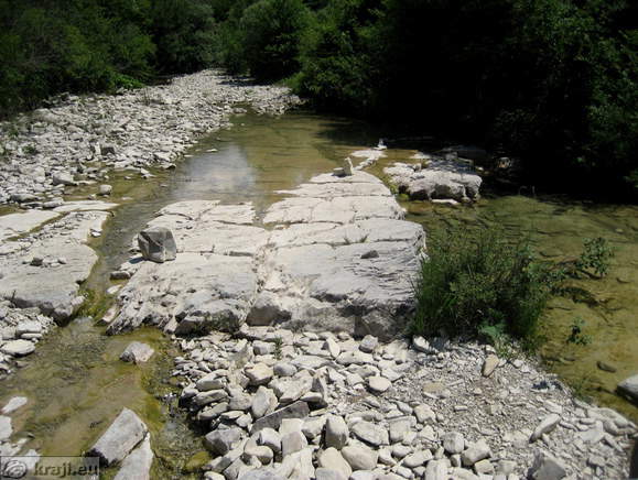 View of river Dragonja