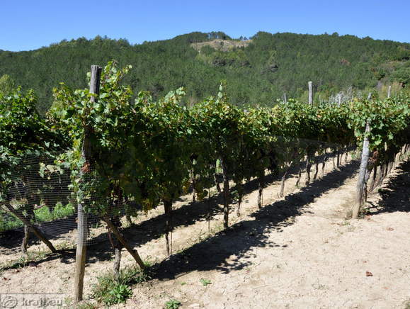 Sokolici - Wasserfall Veli vir