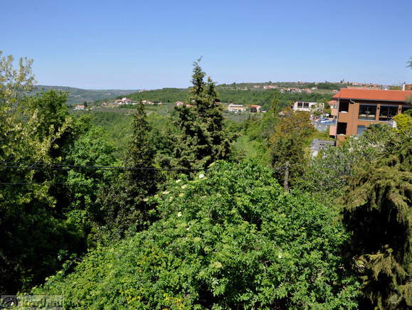 Slovenska Istra