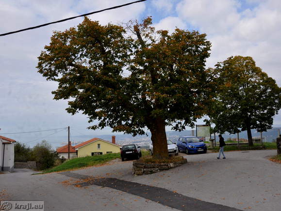 Okolica cerkve na Tinjanu