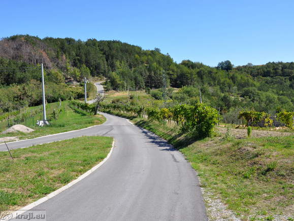 Road in the direction of Socerga and Gracisca