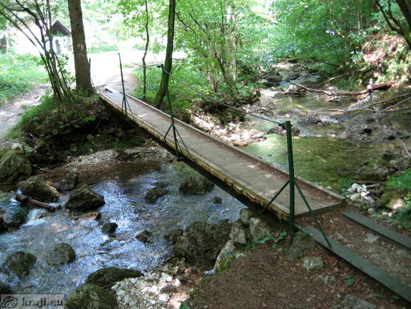 Path over wooden footbridge above brook Borovniscica