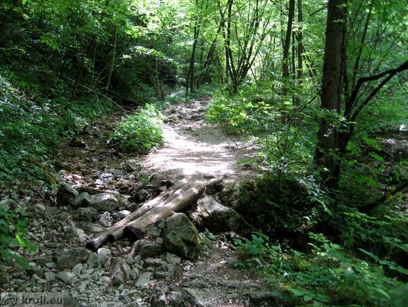 Path through Pekel Gorge