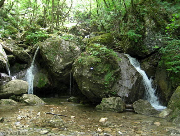 Brook Borovniscica