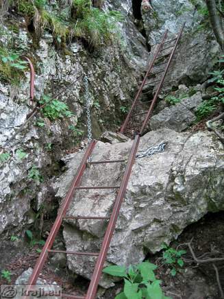 Ladders on the way through Pekel Gorge