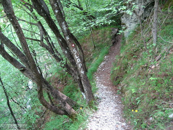 Path to the forth waterfall