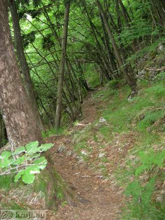 Path through the forest to the fifth waterfall
