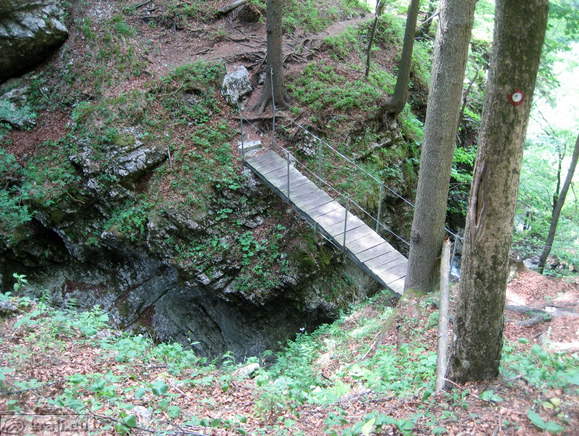 Wooden footbridge over Borovniscica troughs