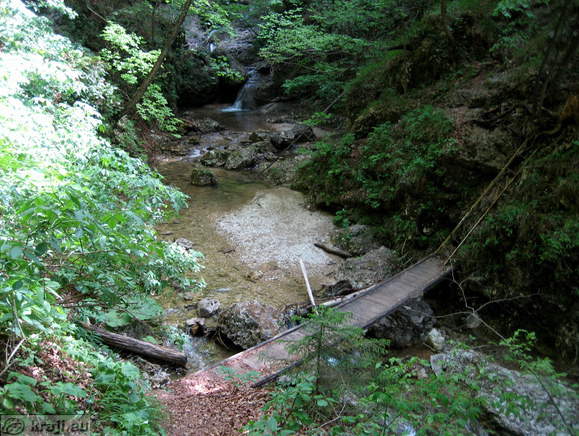 Crossing of the brook