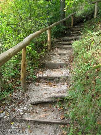 Path of Count Blagaj in the forest