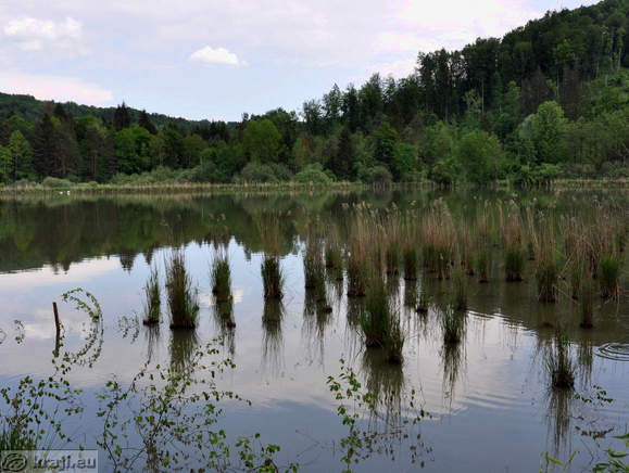 Ribnik Rakovnik