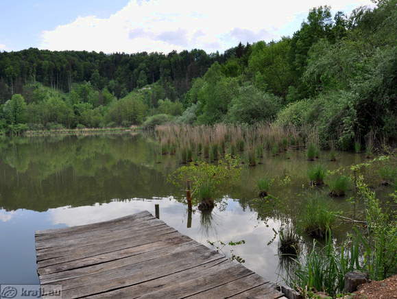 Mokrišče