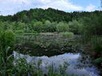 Ponds in the Valley of Draga - Sawn Pond - Rezani ribnik