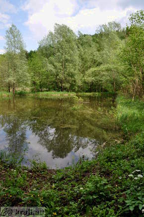 Ribnik v dolini Drage
