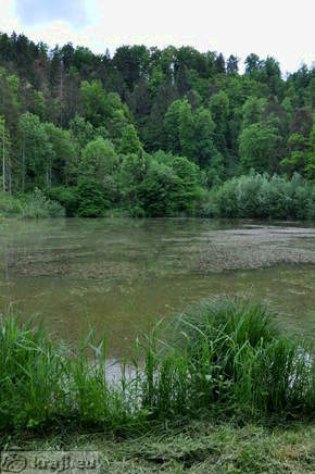 Teiche im Tal Draga - Spilgut