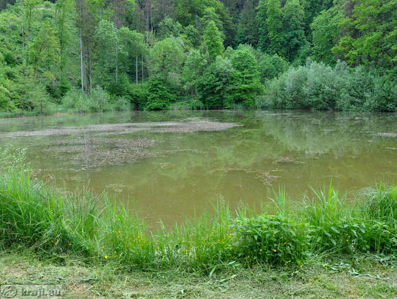 Teiche im Tal Draga - Spilgut
