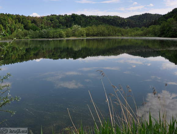 Veliki ribnik